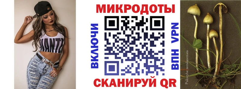 Псилоцибиновые грибы Psilocybine cubensis  Алушта 